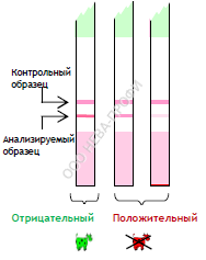 DELVOTEST BLF 7